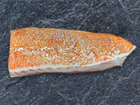 Frischer Fisch - Versand innerhalb Deutschland und Österreich Artikel: [ArtName] bestellen 