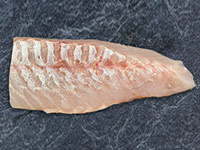 Frischer Fisch - Versand innerhalb Deutschland und Österreich Artikel: [ArtName] bestellen 