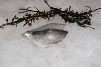 Frischer Fisch - Versand innerhalb Deutschland und Österreich Artikel: [ArtName] bestellen 