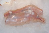 Frischer Fisch - Versand innerhalb Deutschland und Österreich Artikel: [ArtName] bestellen 