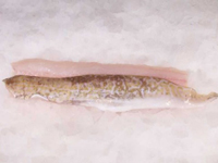 Frischer Fisch - Versand innerhalb Deutschland und Österreich Artikel: [ArtName] bestellen 