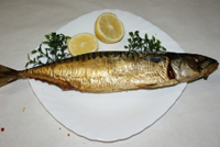 Frischer Fisch - Versand innerhalb Deutschland und Österreich Artikel: [ArtName] bestellen 