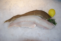 Frischer Fisch - Versand innerhalb Deutschland und Österreich Artikel: [ArtName] bestellen 