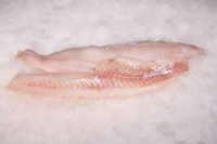 Frischer Fisch - Versand innerhalb Deutschland und Österreich Artikel: [ArtName] bestellen 