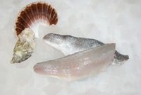 Frischer Fisch - Versand innerhalb Deutschland und Österreich Artikel: [ArtName] bestellen 