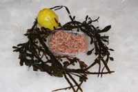 Frischer Fisch - Versand innerhalb Deutschland und Österreich Artikel: [ArtName] bestellen 