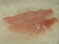 Frischer Fisch - Versand innerhalb Deutschland und Österreich Artikel: [ArtName] bestellen 