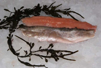 Frischer Fisch - Versand innerhalb Deutschland und Österreich Artikel: [ArtName] bestellen 