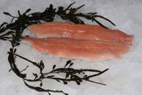 Frischer Fisch - Versand innerhalb Deutschland und Österreich Artikel: [ArtName] bestellen 