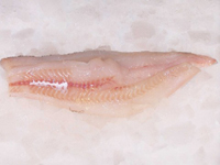 Frischer Fisch - Versand innerhalb Deutschland und Österreich Artikel: [ArtName] bestellen 