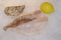 Frischer Fisch - Versand innerhalb Deutschland und Österreich Artikel: [ArtName] bestellen 