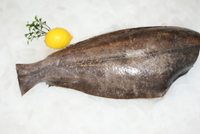 Frischer Fisch - Versand innerhalb Deutschland und Österreich Artikel: [ArtName] bestellen 