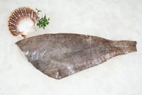 Frischer Fisch - Versand innerhalb Deutschland und Österreich Artikel: [ArtName] bestellen 