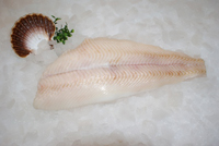 Frischer Fisch - Versand innerhalb Deutschland und Österreich Artikel: [ArtName] bestellen 