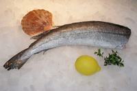 Frischer Fisch - Versand innerhalb Deutschland und Österreich Artikel: [ArtName] bestellen 