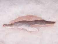 Frischer Fisch - Versand innerhalb Deutschland und Österreich Artikel: [ArtName] bestellen 