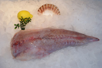 Frischer Fisch - Versand innerhalb Deutschland und Österreich Artikel: [ArtName] bestellen 