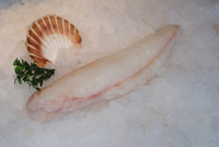 Frischer Fisch - Versand innerhalb Deutschland und Österreich Artikel: [ArtName] bestellen 