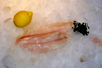 Frischer Fisch - Versand innerhalb Deutschland und Österreich Artikel: [ArtName] bestellen 