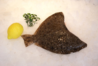 Frischer Fisch - Versand innerhalb Deutschland und Österreich Artikel: [ArtName] bestellen 