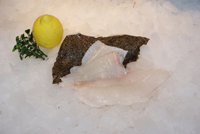 Frischer Fisch - Versand innerhalb Deutschland und Österreich Artikel: [ArtName] bestellen 