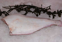 Frischer Fisch - Versand innerhalb Deutschland und Österreich Artikel: [ArtName] bestellen 