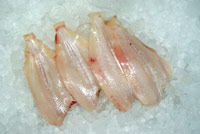 Frischer Fisch - Versand innerhalb Deutschland und Österreich Artikel: [ArtName] bestellen 