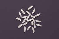 Frischer Fisch - Versand innerhalb Deutschland und Österreich Artikel: [ArtName] bestellen 