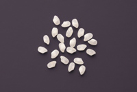 Frischer Fisch - Versand innerhalb Deutschland und Österreich Artikel: [ArtName] bestellen 