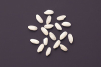 Frischer Fisch - Versand innerhalb Deutschland und Österreich Artikel: [ArtName] bestellen 